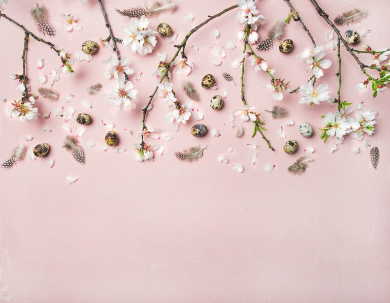Easter background with eggs, almond flowers and feathers